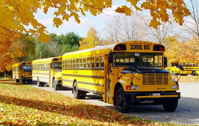 School-bus-featured